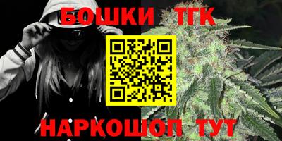тгк Можайск